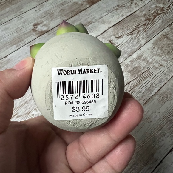 โ๐ผ๐ World Market Faux Succulent Mini Plants - Picture 14 of 14